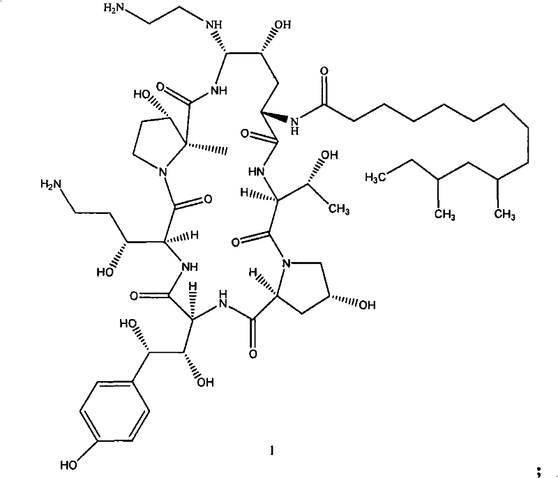 Reaction scheme showing the conversion of Formula 2 to Formula 3, then to Formula 4 and finally Caspofungin