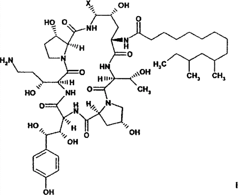 General structure of azacyclic hexapeptide compounds including Caspofungin (Formula I)