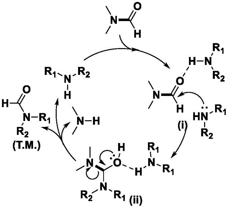 Proposed reaction mechanism showing hydrogen bond activation and nucleophilic attack
