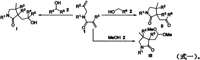 General reaction scheme showing the radical cyclization of 1,6-dienes with alcohols to form pyrrolidinone derivatives