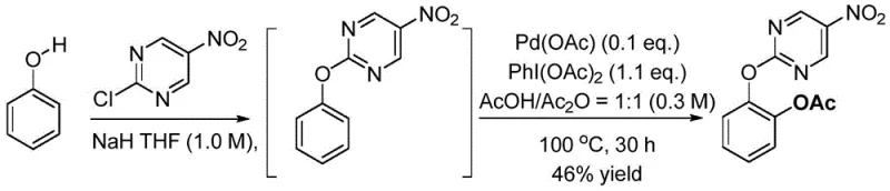 One-pot synthesis scheme showing coupling and acetoxylation steps