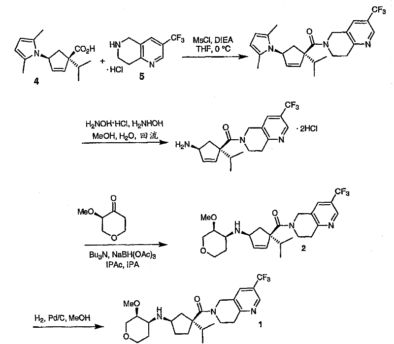 Reaction Scheme 1 showing the convergent synthesis of Compound 1 and 2 from building blocks 4, 5, and 6