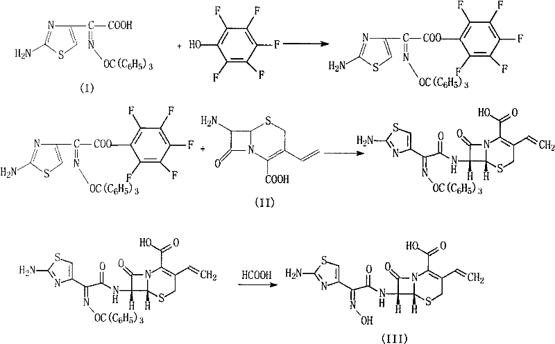 Synthetic route of Cefdinir using pentafluorophenol activation and 7-AVCA condensation