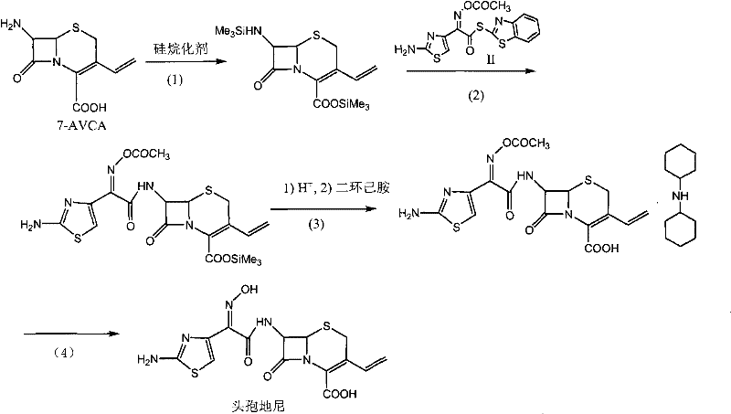 Complete reaction scheme showing silanization, acylation, salt formation, and hydrolysis steps