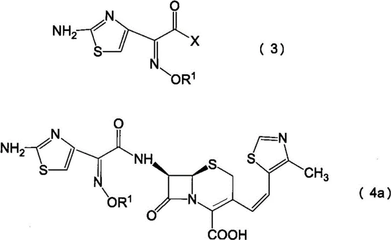 General reaction scheme showing the acylation of the purified Z-isomer intermediate with an active ester