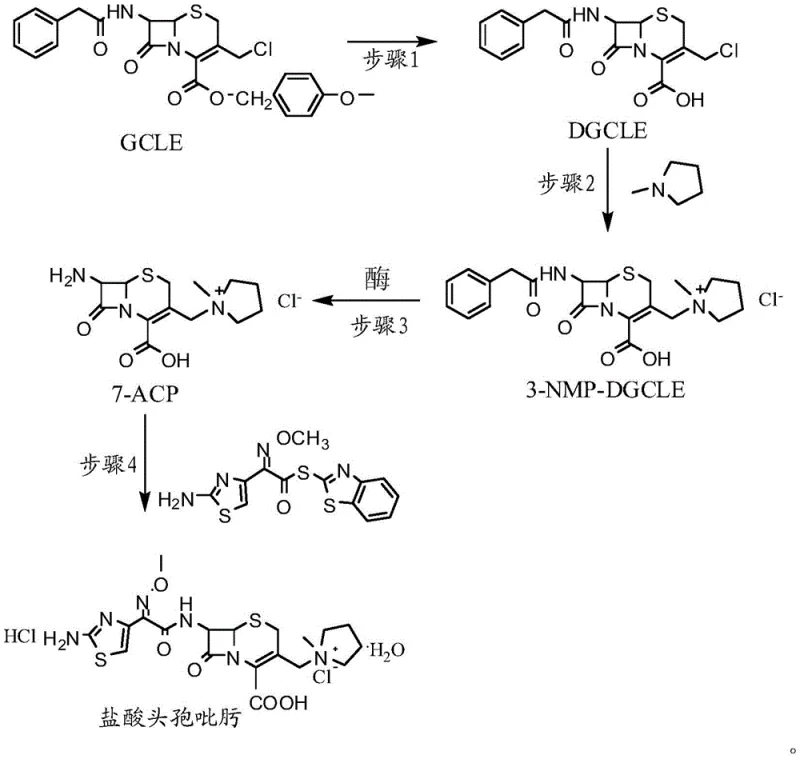 Synthesis route of Cefepime Hydrochloride from GCLE via enzymatic deprotection and quaternization