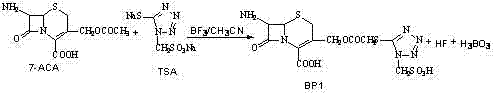 Reaction scheme showing the condensation of 7-ACA and TSA to form BP1 using BF3 catalyst