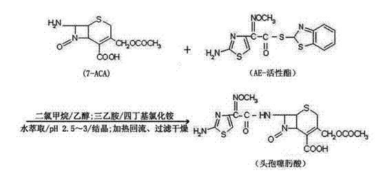 Chemical reaction scheme showing the synthesis of cefotaxime acid from 7-ACA and AE-active ester using phase-transfer catalysis