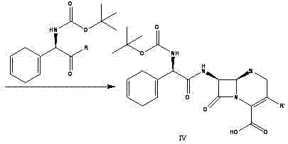 Complete synthetic route from active ester intermediate to Cephradine and Cefroxadine