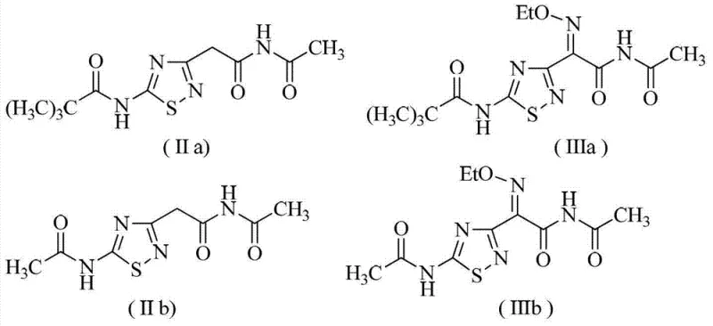 Specific chemical structures of intermediates IIa, IIb, IIIa, and IIIb used in examples