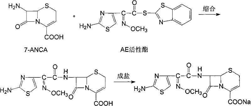 Synthetic route showing condensation of 7-ANCA and AE active ester to form Ceftizoxime acid and subsequent salt formation
