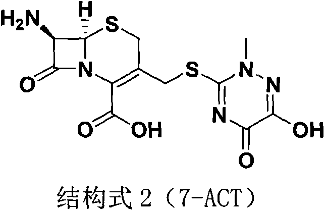 Chemical structure of 7-ACT intermediate showing the beta-lactam ring and triazine side chain