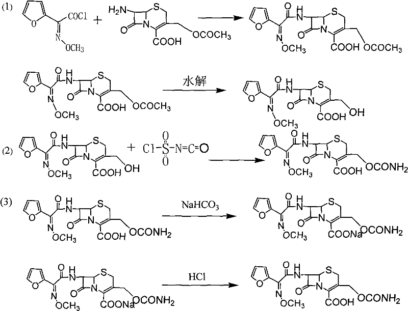 Reaction scheme showing the synthesis of cefuroxime acid from 7-ACA via DCC intermediate and chlorosulfonyl isocyanate addition