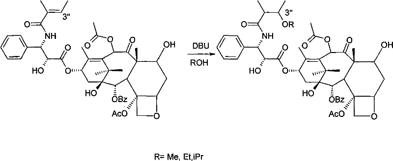 Chemical reaction scheme showing the 1,4-addition of alcohol to Cephalomannine side chain catalyzed by organic base