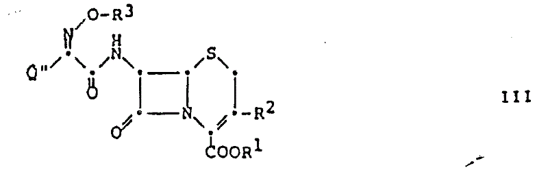 General structure of the intermediate or product (Formula III) formed during the reaction