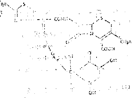 Synthesis of protected pyridone derivatives from kojic acid