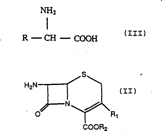 Reaction scheme showing 7-amino cephalosporanic acid derivatives Formula II reacting with alpha-amino acid derivatives Formula III