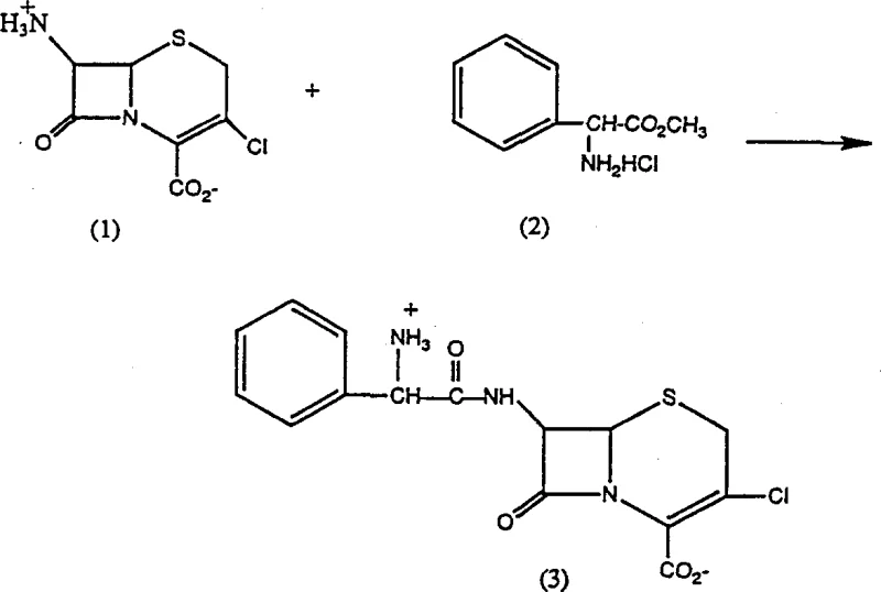 Specific reaction equation for Example 1 converting 7-ACCA and D-phenylglycine methyl ester into the cephalosporin inner salt