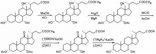 Reaction scheme showing the five-step synthesis of Chenodeoxycholic Acid from Cholic Acid via esterification, acetylation, hypochlorite oxidation, hydrolysis, and Wolff-Kishner reduction