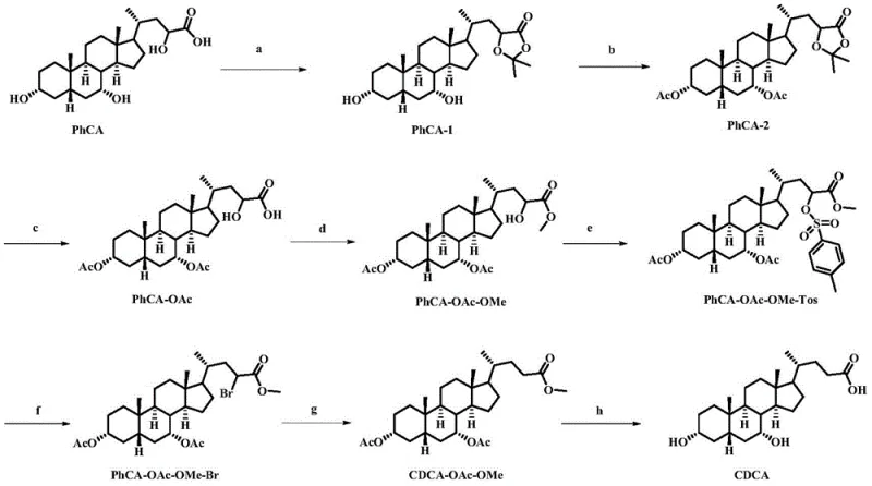 Complete synthetic reaction scheme converting waste bile acid derivatives to Chenodeoxycholic Acid via protection, inversion, and deprotection steps