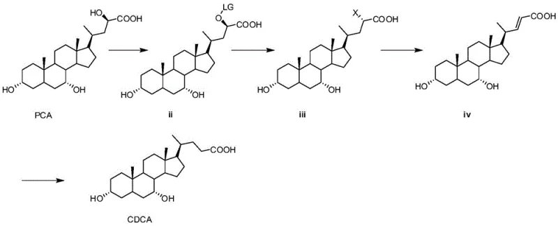 Overall reaction scheme converting Seal Cholic Acid (PCA) to Chenodeoxycholic Acid (CDCA) via intermediates ii, iii, and iv
