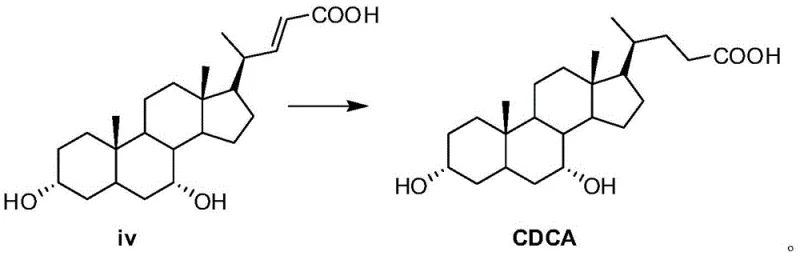 Final hydrogenation step converting alkene intermediate iv to Chenodeoxycholic Acid (CDCA)