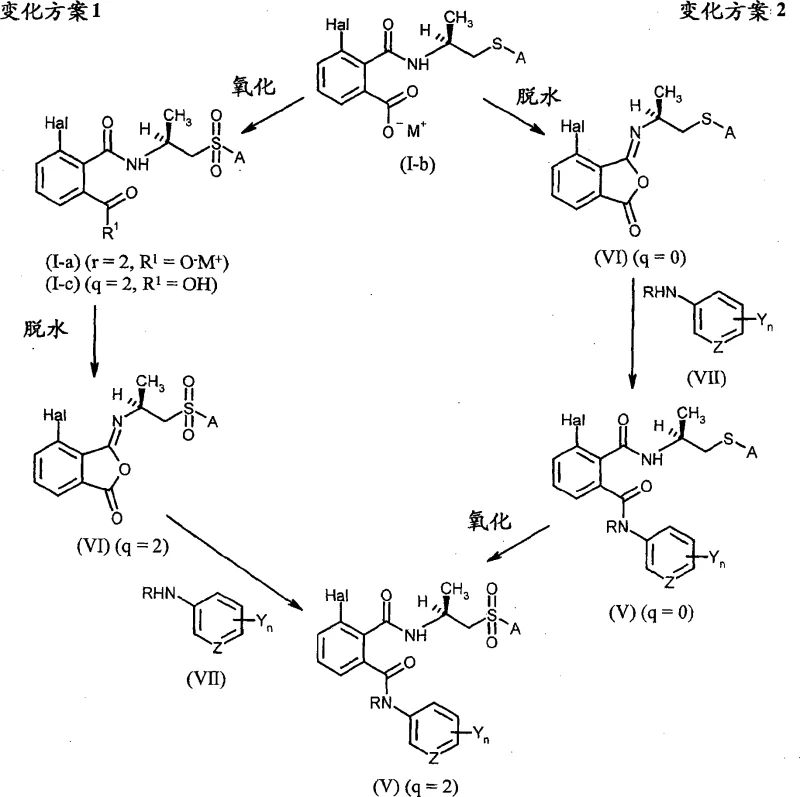 Reaction scheme showing variation 1 and 2 for synthesizing chiral phthalamides