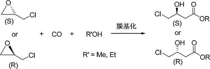 Reaction scheme showing the hydroesterification of chiral epichlorohydrin with CO and alcohol to form chiral 4-chloro-3-hydroxybutyrate