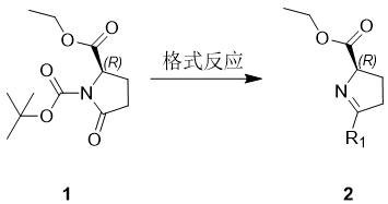 General reaction scheme showing the Grignard reaction step converting compound 1 to imine intermediate 2