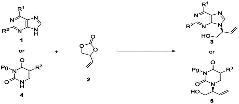 General reaction scheme showing asymmetric allylation of purines and pyrimidines with vinyl carbonate