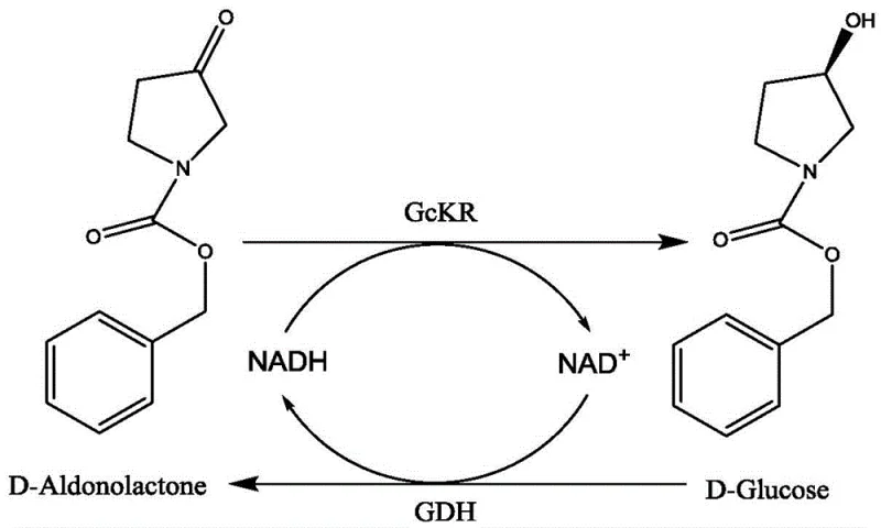Specific example reaction of N-Cbz-3-pyrrolidone reduction using GcKR and GDH
