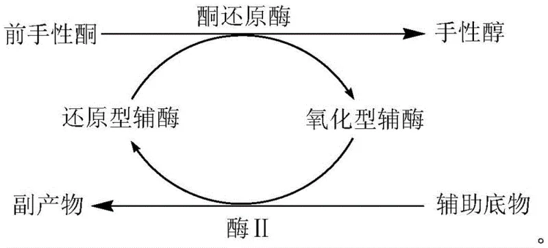 Coenzyme regeneration cycle showing NADH/NAD+ recycling via GDH and Glucose