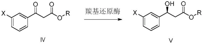 General biocatalytic reduction scheme converting ketone substrate IV to chiral alcohol V