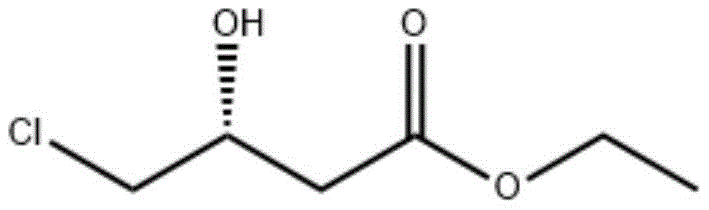 Chemical structure of (R)-4-chloro-3-hydroxybutyric acid ethyl ester