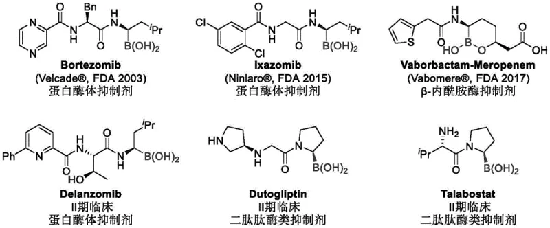Structures of bioactive drugs containing chiral alpha-amino boronic acid motifs like Bortezomib and Vaborbactam