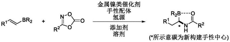 General reaction scheme showing nickel-catalyzed asymmetric hydroamidation of alkenyl boronic acids