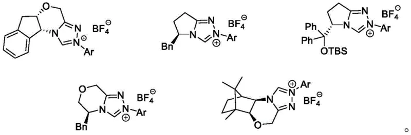 Structural formulas of the chiral N-heterocyclic carbene catalysts used in the kinetic resolution process
