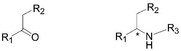 Structural definitions of ketone substrates and chiral amine products