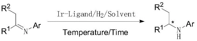 General reaction scheme showing the asymmetric hydrogenation of imines to chiral amines using the Ir-Ligand catalyst system