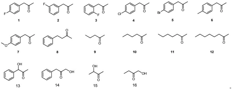 Substrate scope of amine dehydrogenase mutant catalyzed conversion of prochiral carbonyl compounds to chiral amines