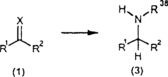 General reaction scheme showing conversion of carbonyl compounds to imines and subsequent transfer hydrogenation to amines