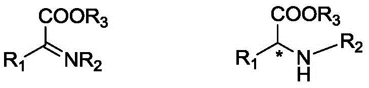 General reaction scheme for asymmetric hydrogenation of alpha-imino esters to chiral amino acid esters