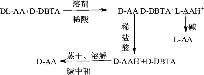 Reaction scheme showing the resolution of DL-Amino Acid using D-DBTA to isolate D-AA and L-AA