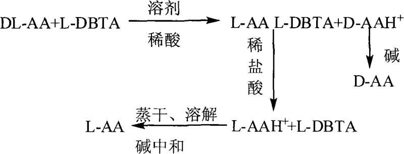 Reaction scheme showing the resolution of DL-Amino Acid using L-DBTA to isolate L-AA and D-AA
