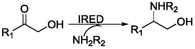 General reaction scheme showing IRED catalyzed reductive amination of alpha-hydroxy ketone to chiral amino alcohol