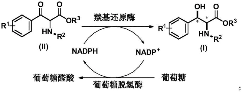 Catalytic cycle showing KRED-Bt reduction and GDH-mediated NADPH regeneration