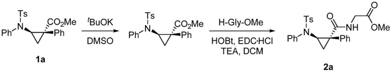 Conversion of aminocyclopropane intermediate to polypeptide structure
