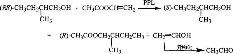 Reaction scheme showing PPL-catalyzed resolution of racemic 2-methyl-1-butanol using vinyl acetate to produce (S)-alcohol and (R)-ester