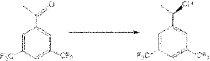 Chemical structure transformation of 3,5-bis(trifluoromethyl)acetophenone to chiral alcohol via biocatalysis