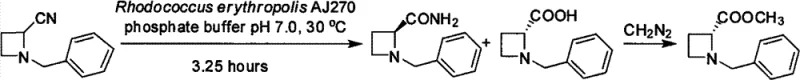 Specific example of biocatalytic hydrolysis of racemic nitrile Va to chiral amide Ia and ester IIIa